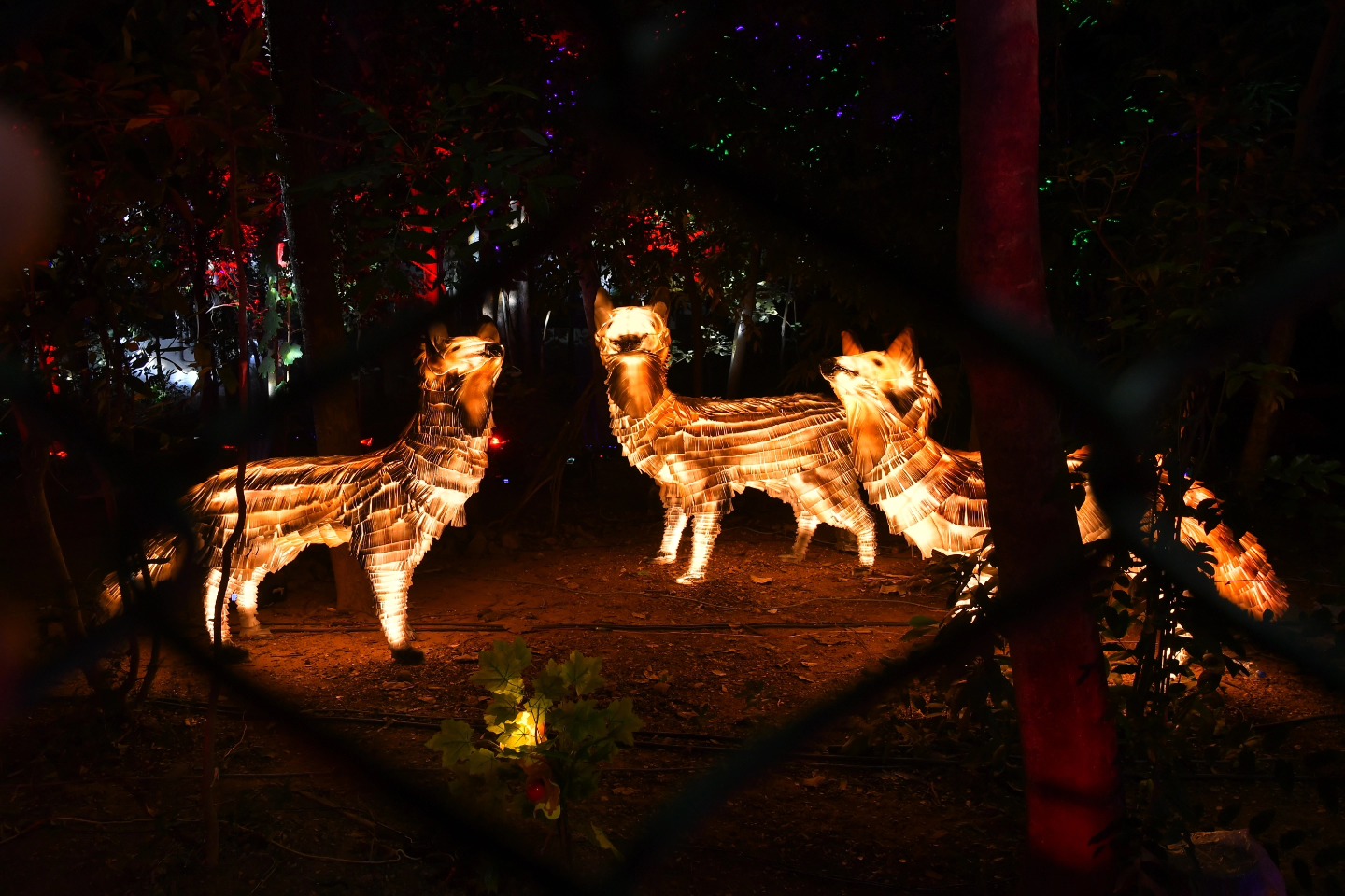 Satsang Vani gallery photo
